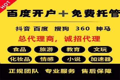 SEM推广案例：揭秘高ROI背后的策略与实践
