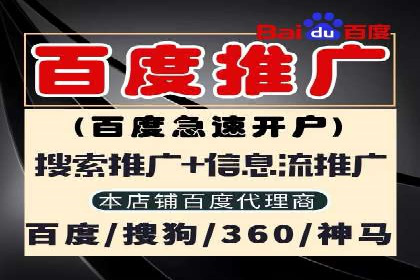 某品牌SEM广告投放的ROI提升案例